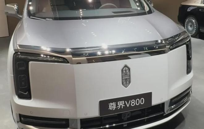 我以为世界上所有人都知道鸡柳是什么？直到我点开了这个帖子…
