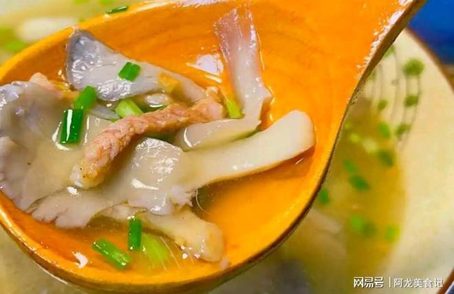 公牛最多领先34分大胜雄鹿:中国血统十号秀19+5+5 四号秀10分
